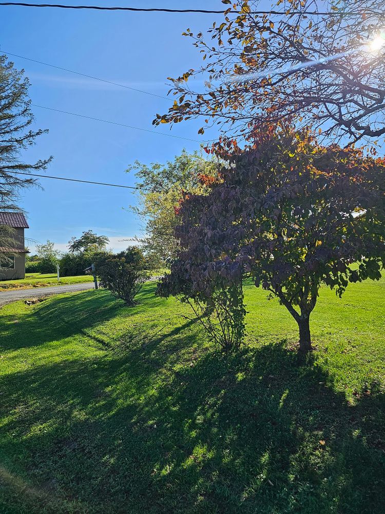 All Photos for Tri County Enterprises in Benton, PA