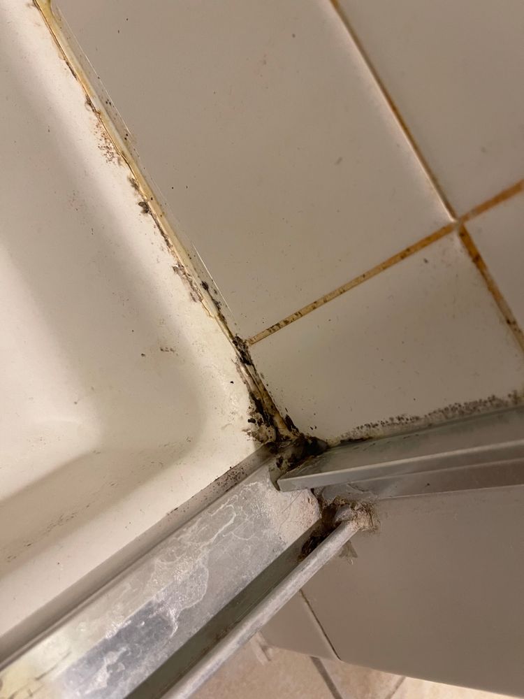 All Photos for Tony's Remodeling & Painting in Renton, WA