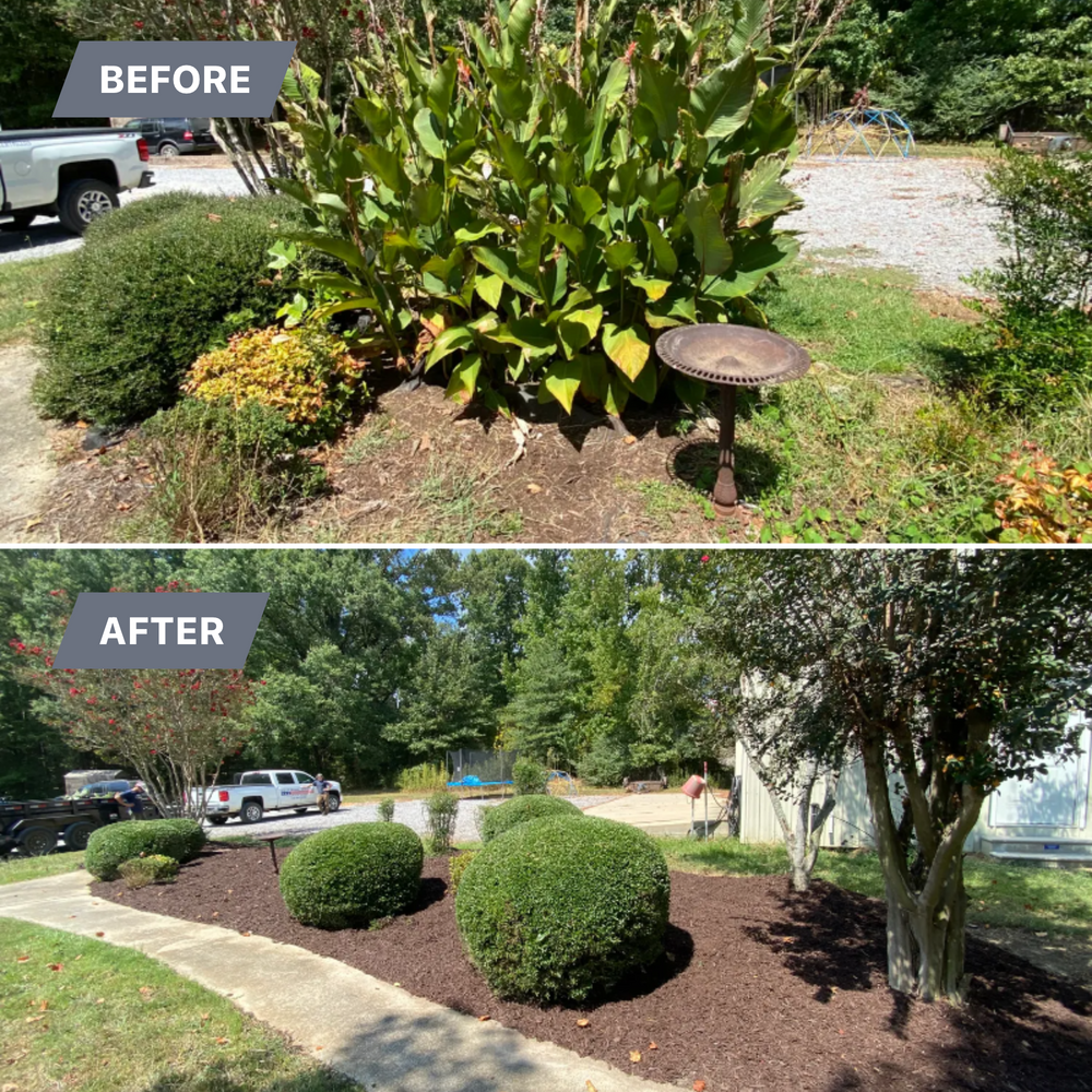 Fall Clean Up for Freedom Works Lawnscaping in Dyer County, Tennessee