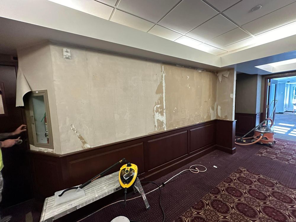 All Photos for Suter & Sons Painting in Amherst, Western Massachusetts
