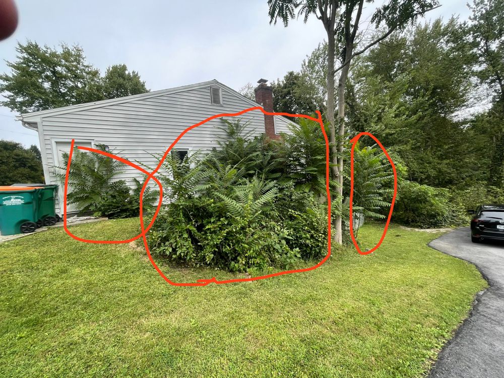 Before & After for Ardisi Landscaping & Design in Poughkeepsie, NY 