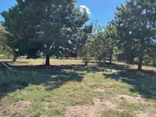 All Photos for Oviedo Land & Garden in Bastrop, TX