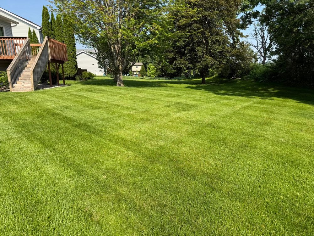 Lawn Care for Perfect Lawn Solutions LLC in Marshall, WI