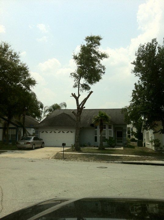 All Photos for TLM Landscape Professionals in Clermont, FL