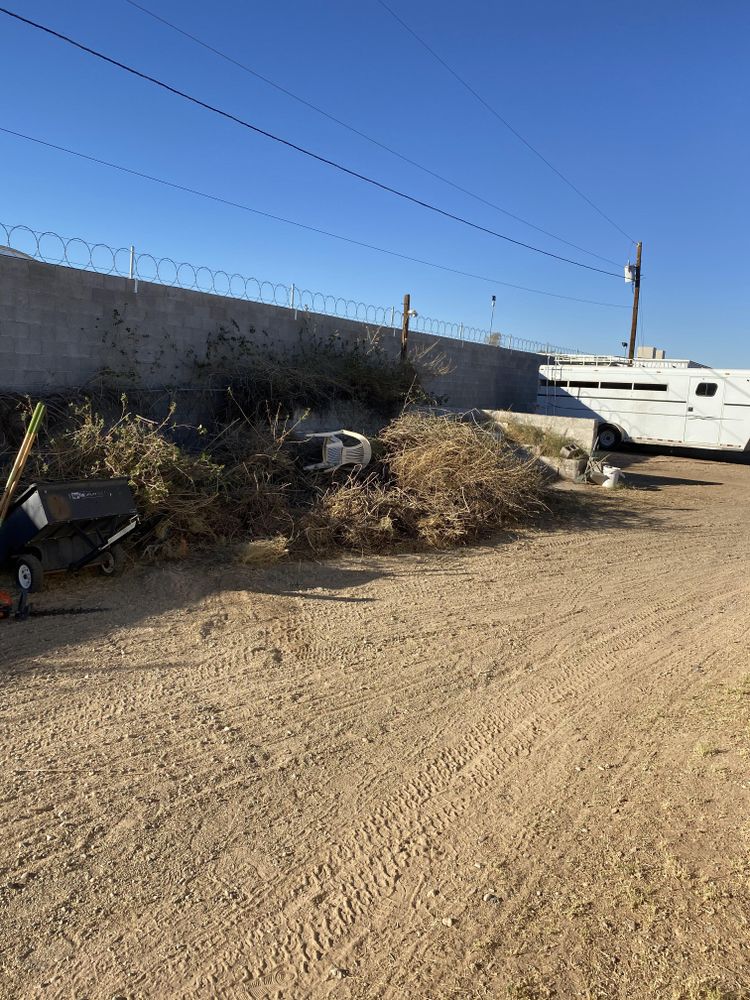 Commercial Lawn Maintenance for American Dream Landscape Company in Surprise, AZ