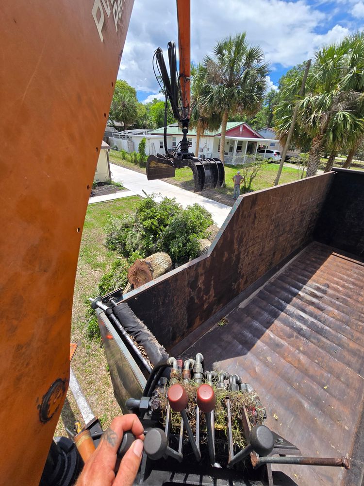 All Photos for Near Me Tree Service, Inc. in DeLand, FL