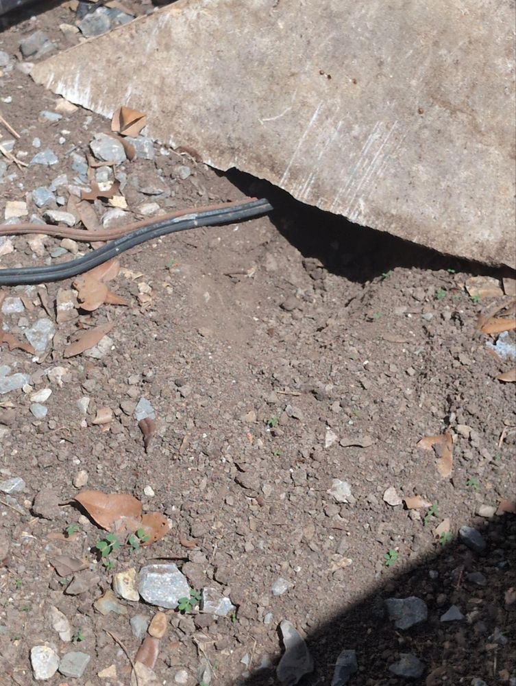 All Photos for Topper's Wildlife Removal in Garland, TX