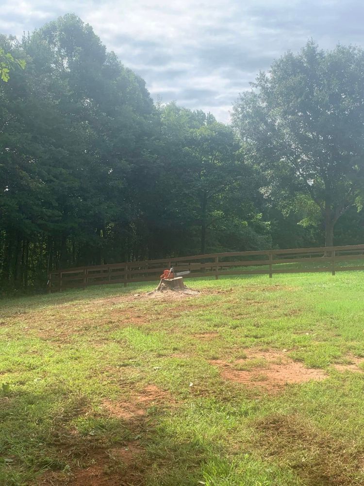 Our Land Clearing service includes comprehensive fall and spring clean up, ensuring your property is clear of debris and unwanted vegetation to enhance safety, aesthetics, and future landscaping projects. for Moore’s Tree Service in Chesnee, SC