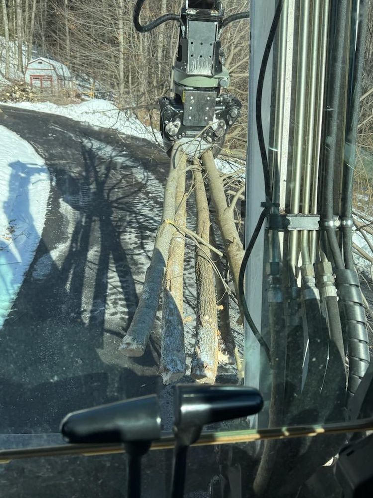 All Photos for Abair Tree Service in Weare, NH