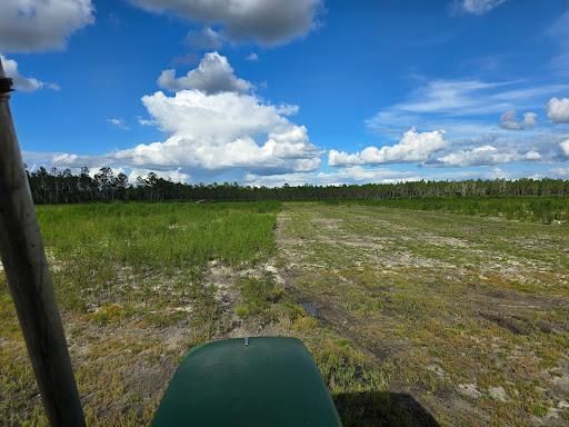 All Photos for Giles Land Management, LLC in Hahira, GA