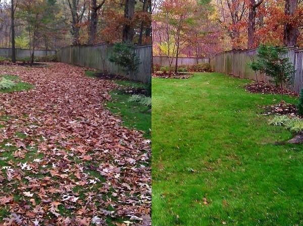 Discover our efficient Leaf Removal service, designed to keep your yard pristine. As specialists in Landscaping & Snow Removal, we ensure your outdoor space remains enjoyable and well-maintained all year round. for MLC in Murfreesboro, TN