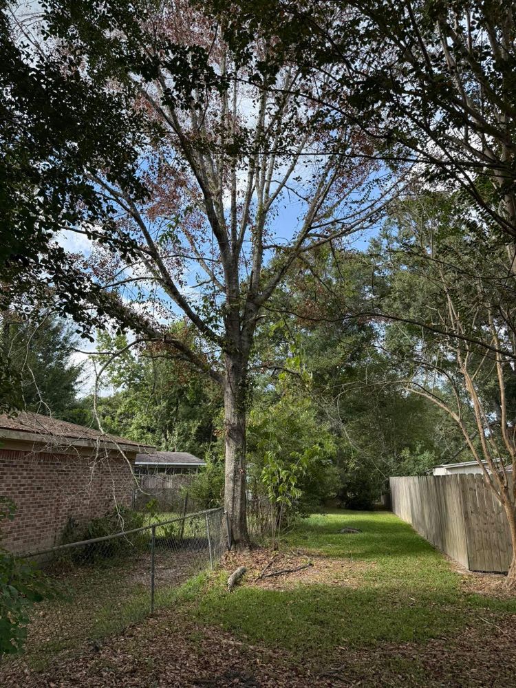 All Photos for Southern Venom Services in Daphne, AL