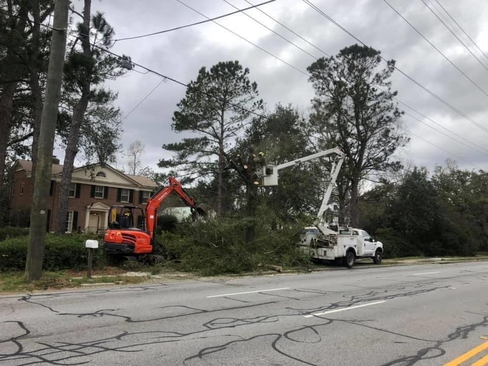 Tree Removal for Coastal Tree & Stump in Charleston, SC