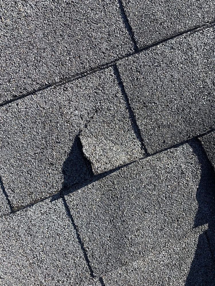 Common Damage We Repair for Primetime Property & Restoration in Chattanooga, TN