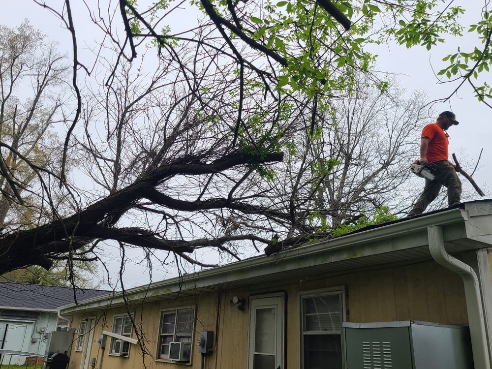 Tree Service for Paradise Landscaping and Tree Service in Greenville, SC