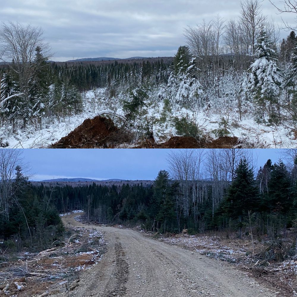 All Photos for Gardner Road Company in Winn, ME