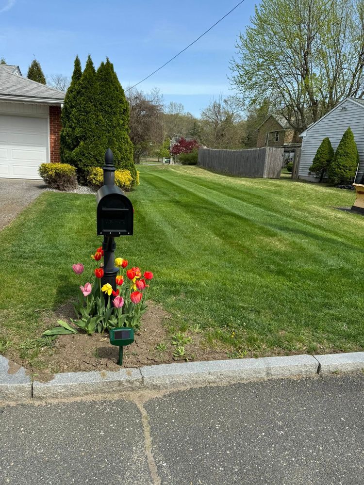 Mowing for Adams Landscaping in Springfield, MA