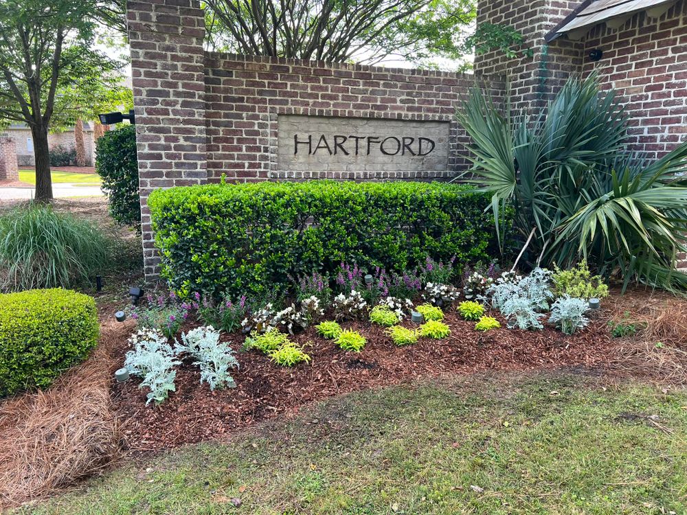 Landscaping for Amis Lawn and Landscape, LLC in Clinton, MS