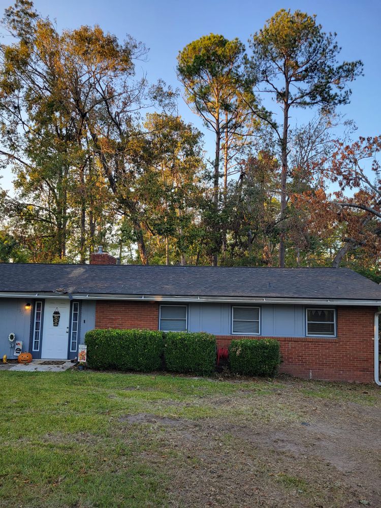 Our Shrub Trimming service expertly shapes and maintains your shrubs, enhancing curb appeal while promoting healthy growth. Trust our skilled team to keep your landscape looking tidy and well-groomed year-round. for Trees Unlimited of the CSRA in Augusta, GA