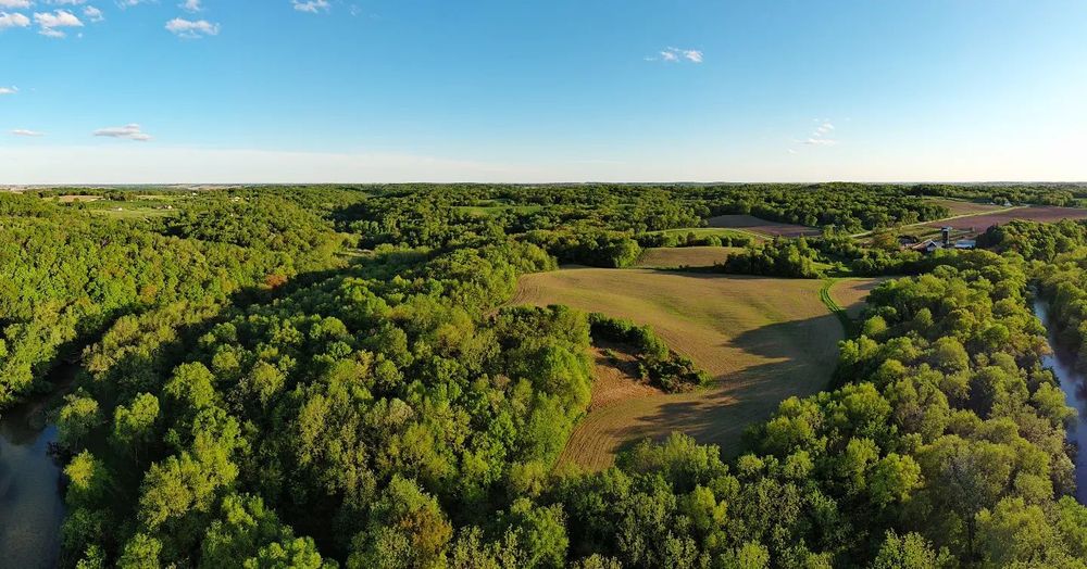 All Photos for Bluffside Forestry in Cedar Rapids, IA