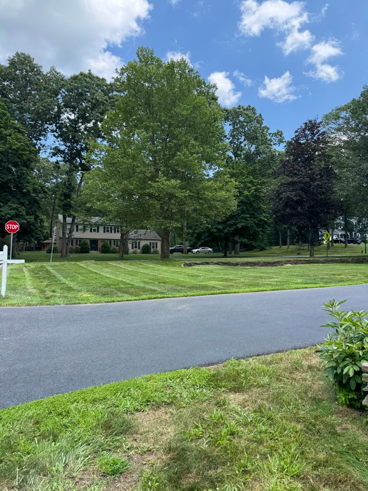 All Photos for Adams Landscaping in Springfield, MA