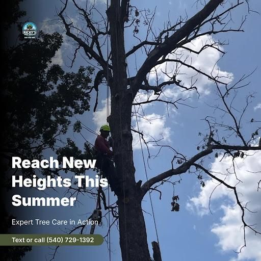 All Photos for Ricky's Tree Service & Property Care in Orange, VA