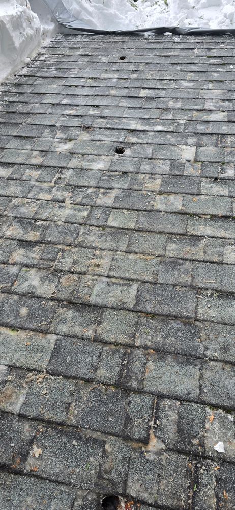 All Photos for George Staddan's Professional Tree Care in Placerville, CA