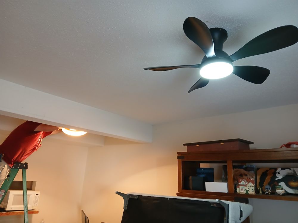 All Photos for Dead Tree General Contracting in Carbondale, Illinois