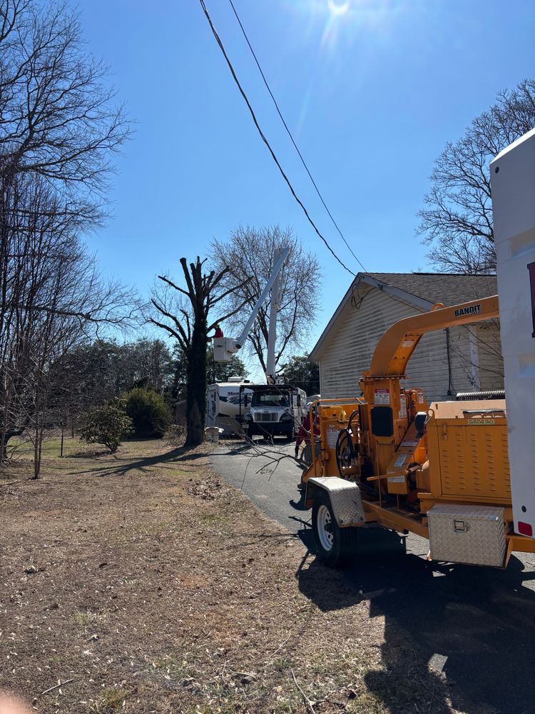 All Photos for Melnyk’s Tree Service in Salem County, NJ