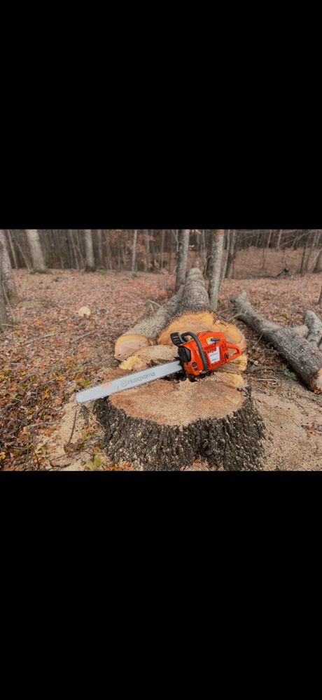 Our stump removal service safely eliminates unsightly tree stumps, improves yard appearance, prevents regrowth and pests, and prepares your landscape for replanting, construction, or easier mowing and outdoor use. for ABC Tree Service in Dobson, NC