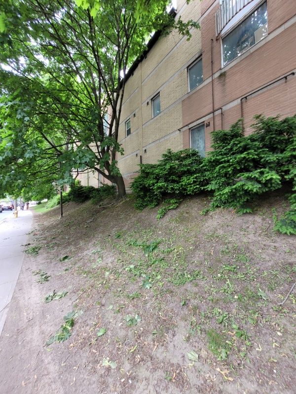 All Photos for Triumph Inc - Repair & Maintenance in Scarborough, ON