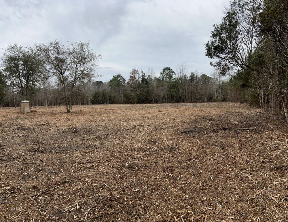 Our Forestry Mulching service offers efficient land clearing by grinding trees, brush, and vegetation into mulch on-site. Enhance your property with minimal disturbance using our environmentally friendly solution. for Davis Contracting & Site Work in Adams Run, SC