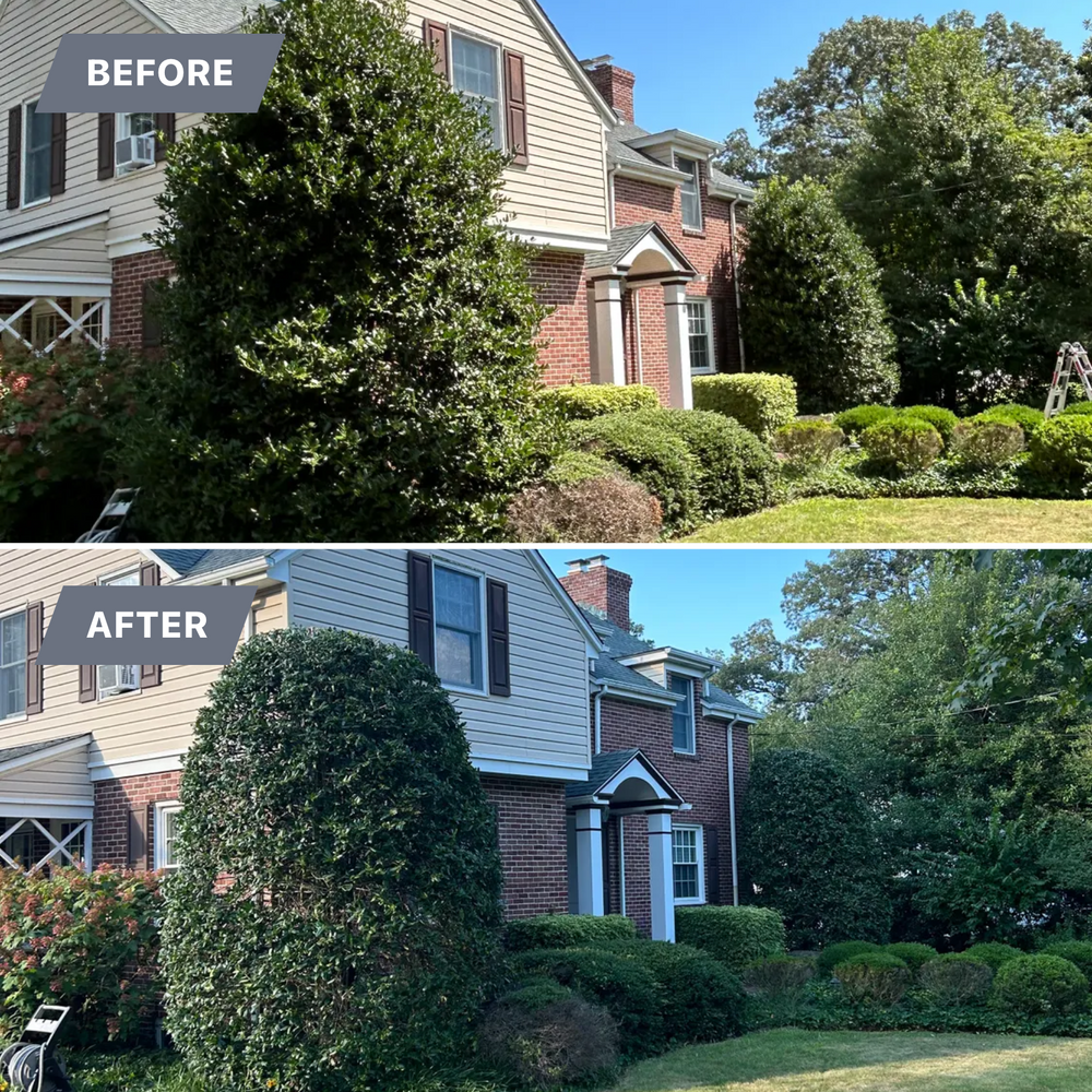 All Photos for Hingewood Tree Service in Salem, NJ