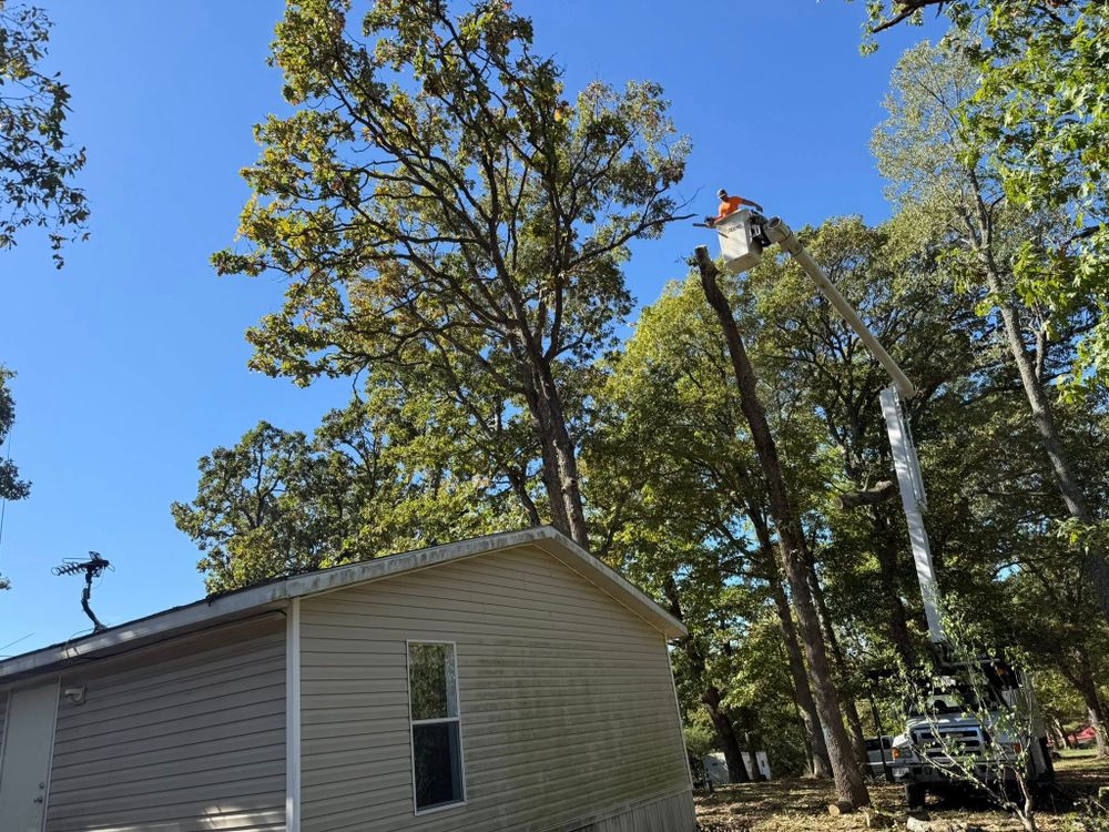 All Photos for Lightning Tree Service in Fair Grove, MO