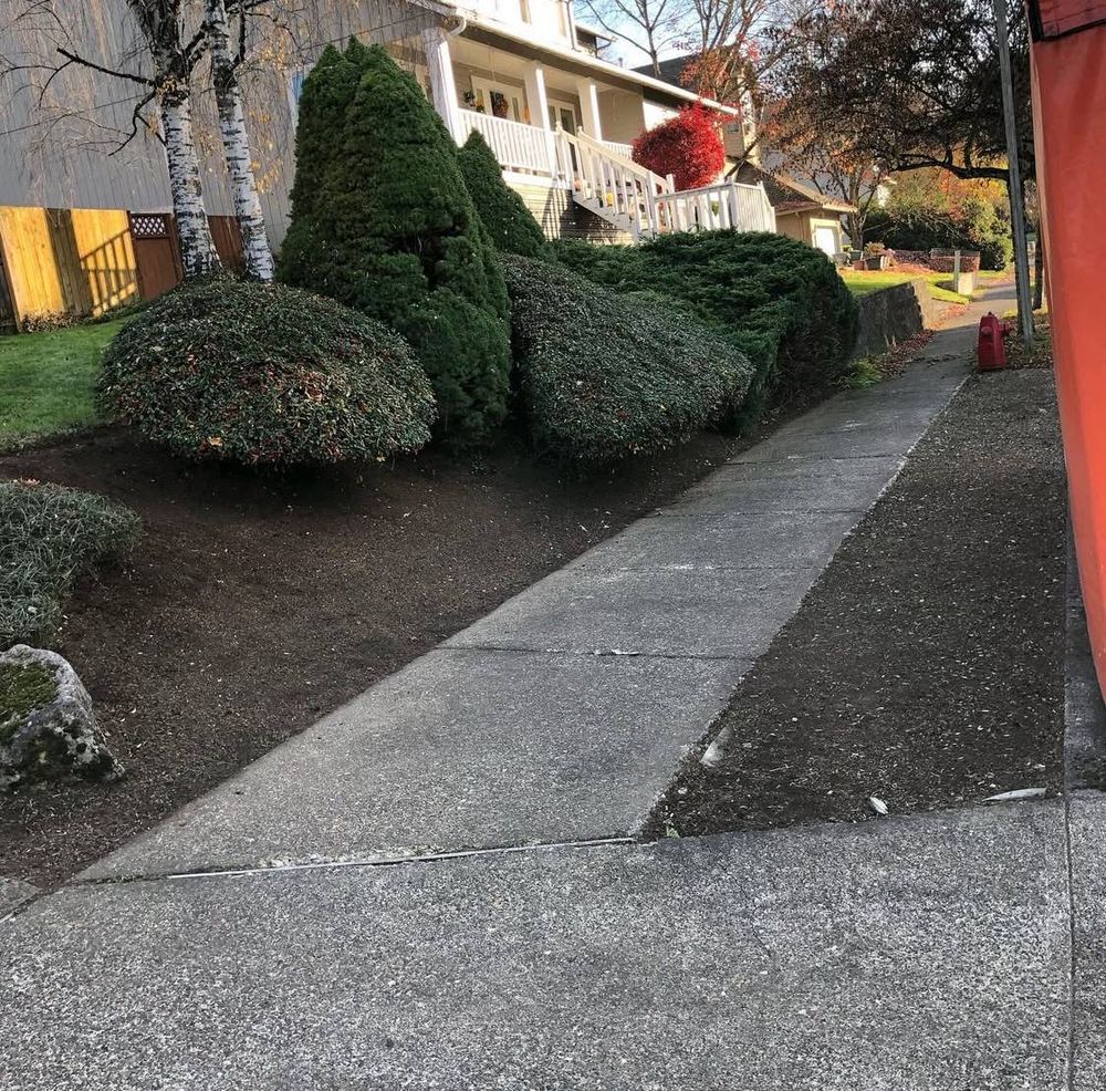 All Photos for Rs lawn Care llc in Beavertown, OR