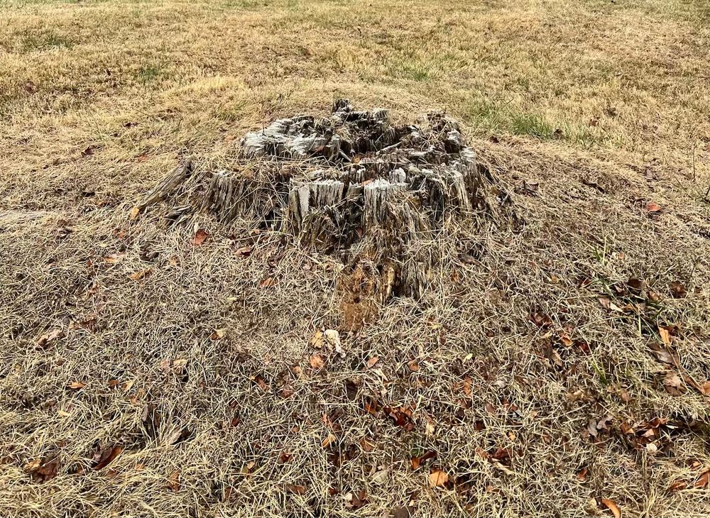 All Photos for Valencia’s Lawncare in Charlottesville, VA