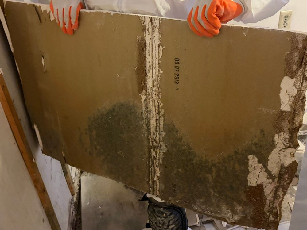 Asbestos Abatement for ACM Environmental in Salt Lake City, UT
