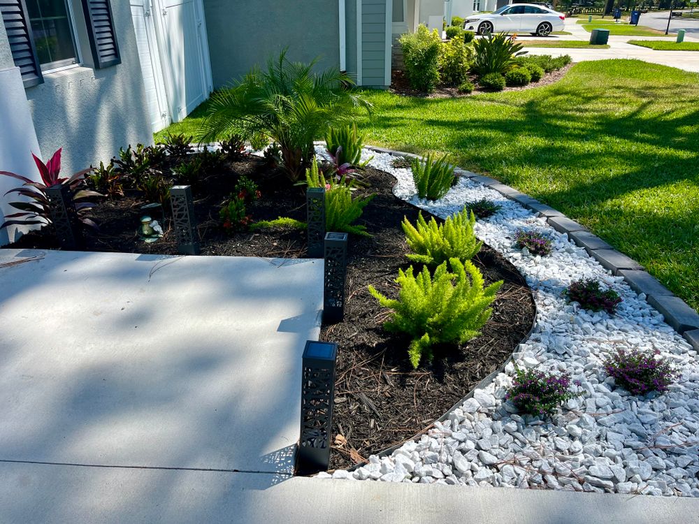 Landscaping for Verimay's Garden and Landscaping in Hillsborough County, FL