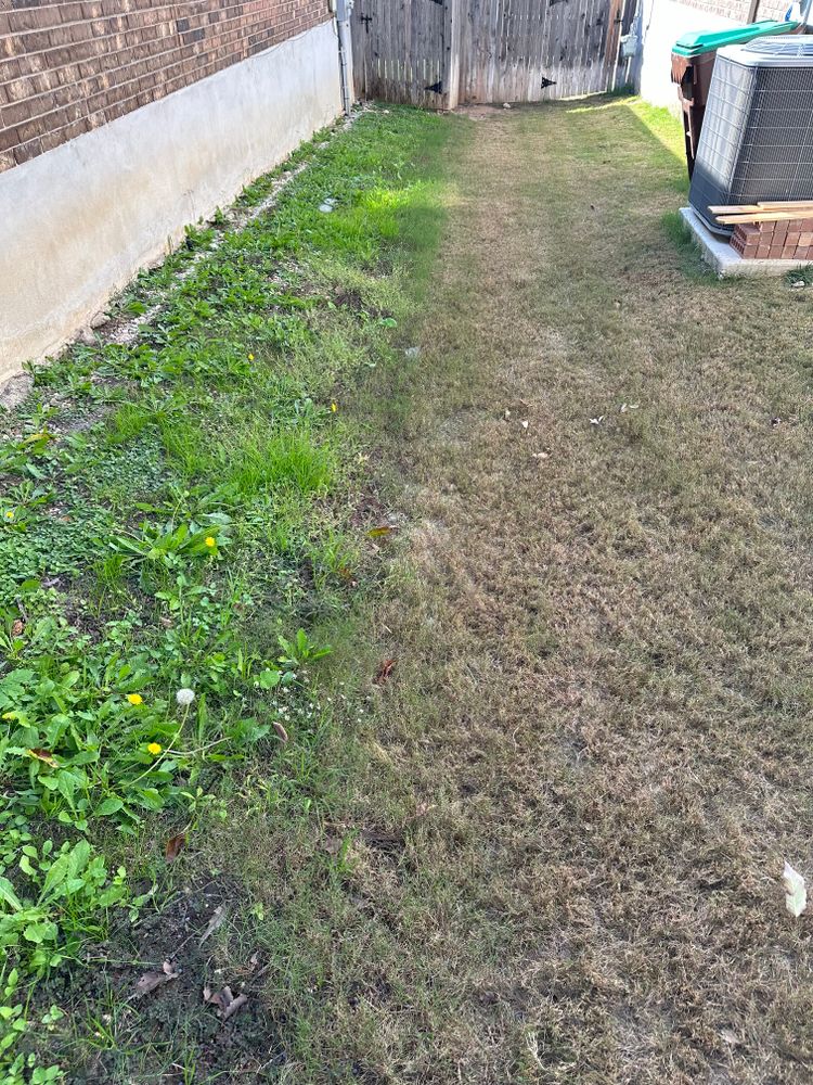 Our Lawns for Alamo Turf Works in San Antonio, TX