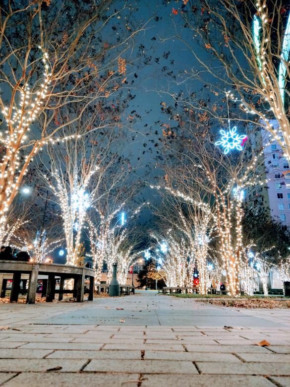 All Photos for Amazing Christmas Lights in Magnolia, TX