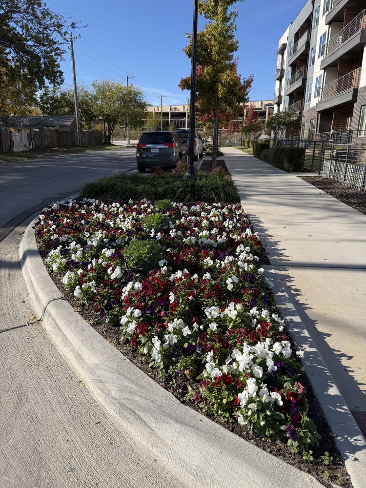 All Photos for Guerrero's Landscape in Fort Worth,  TX