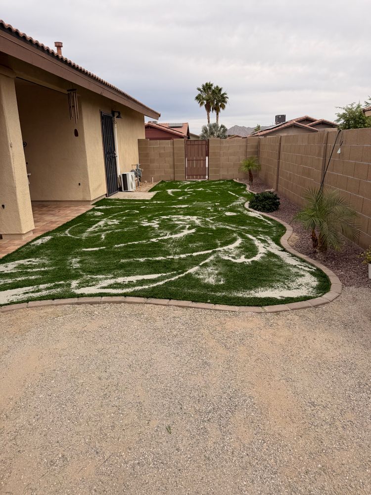 All Photos for Yuma Palms & Tree Service in Yuma, AZ