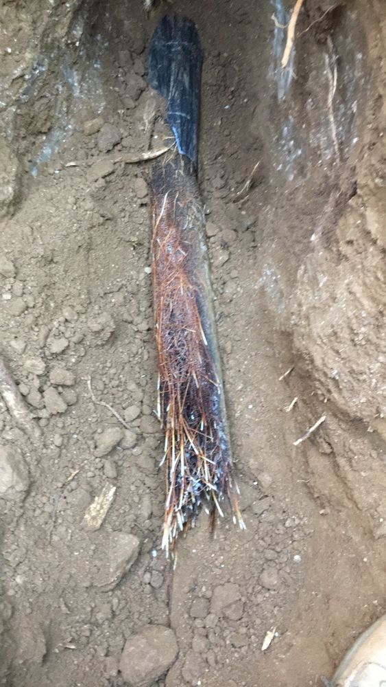 Sewer Repairs for Schuelke Plumbing & Construction in Beaumont, CA