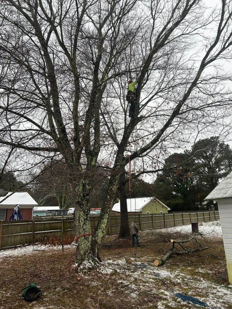 All Photos for The Whole 9 Yards Landscape VA in Heathsville, VA