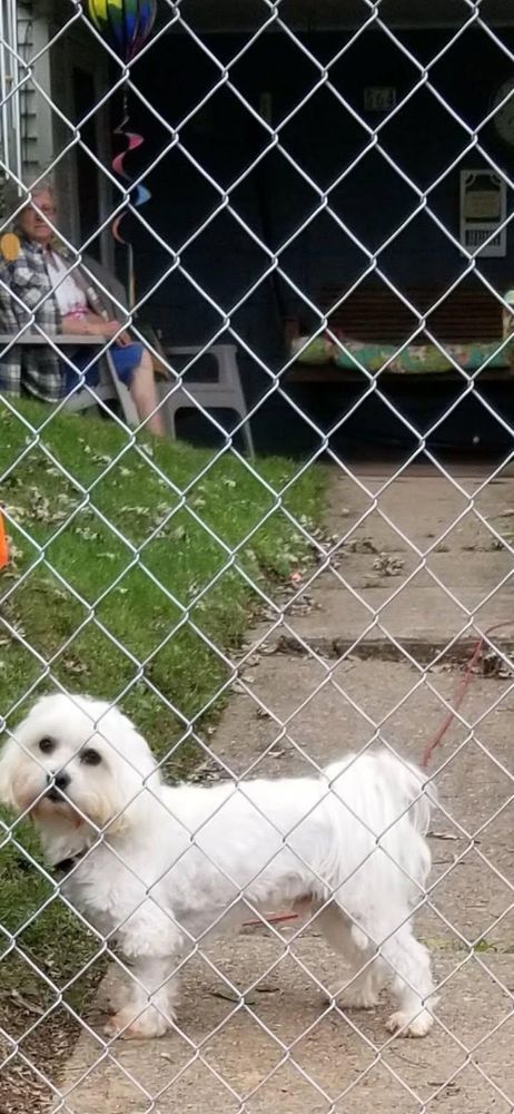 All Photos for Backyard Fence Solutions LLC in Uniontown, PA