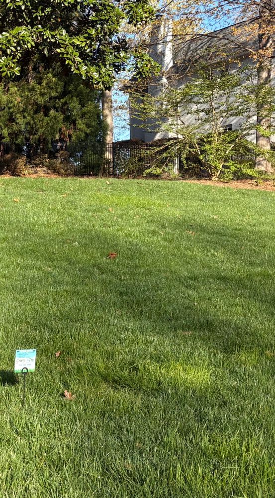 All Photos for Green Pro Lawn Care in Greensboro, NC