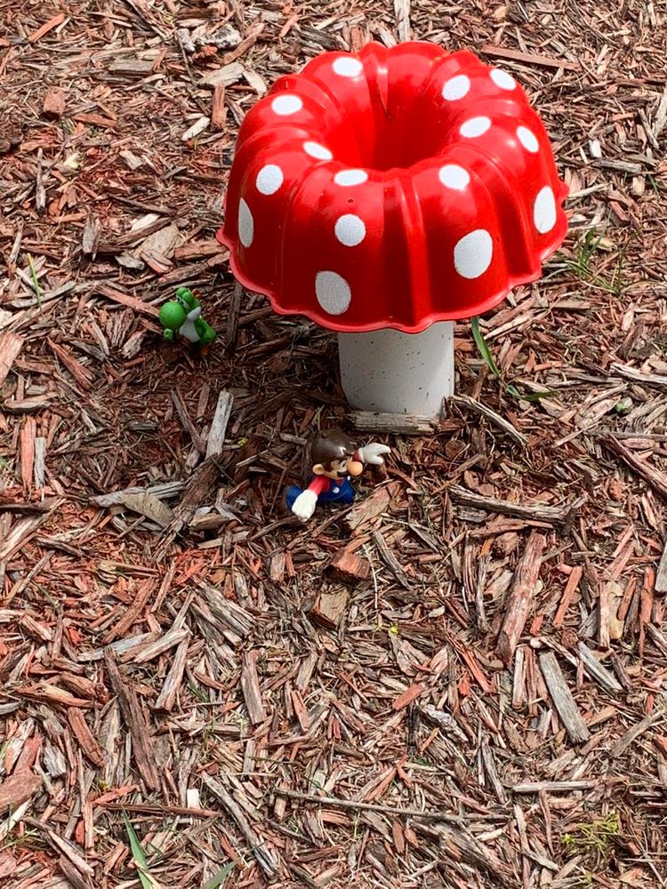 All Photos for R and R Landcare in Birch Run, MI