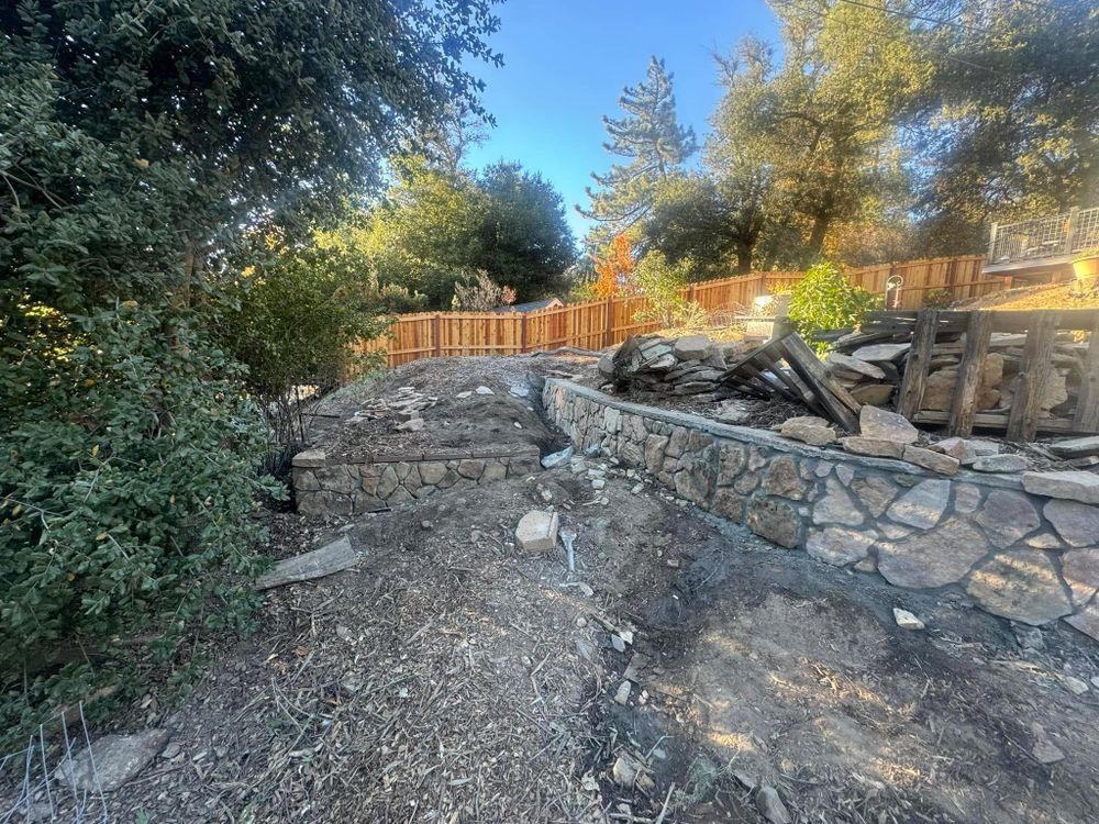 Property Clean Up for The Tree Fairy in Temecula, CA