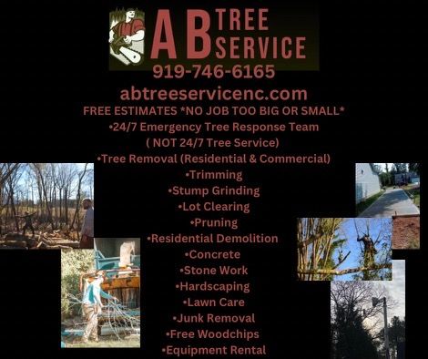 All Photos for AB Tree Service in Raleigh, NC