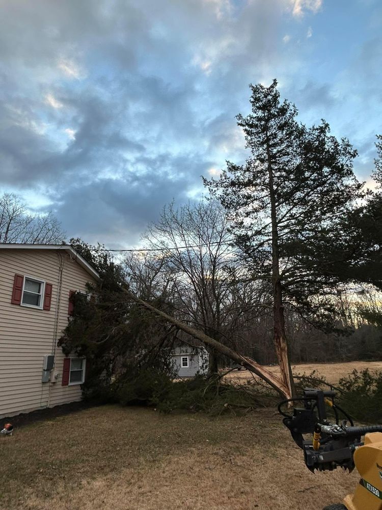 All Photos for Hingewood Tree Service in Salem, NJ